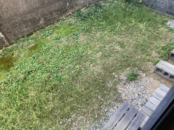 グラス・ハープの物件内観写真